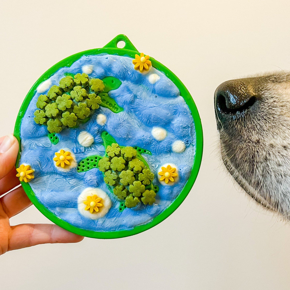 H20 eCoin (Water)-Slow Feeder-Rover Pet Products
