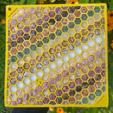 Honeycomb eMat (Large) Enrichment Lick Mat-Slow Feeder-Rover Pet Products