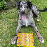 Honeycomb eMat (Large) Enrichment Lick Mat-Slow Feeder-Rover Pet Products