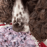 Bones eMat Enrichment Lick Mat-Slow Feeder-Rover Pet Products