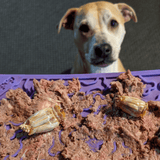Bones eMat Enrichment Lick Mat-Slow Feeder-Rover Pet Products