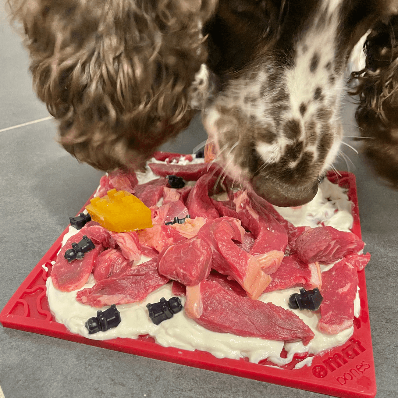 Bones eMat Enrichment Lick Mat-Slow Feeder-Rover Pet Products