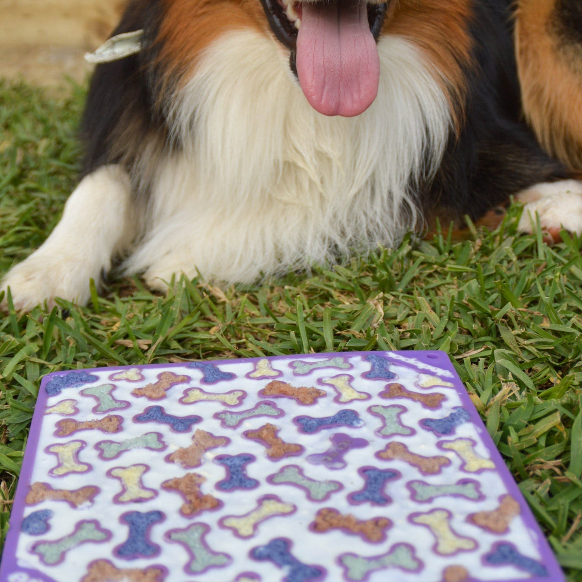 Bones eMat Enrichment Lick Mat-Slow Feeder-Rover Pet Products
