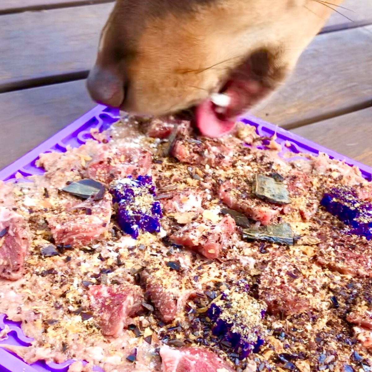 Bones eMat Enrichment Lick Mat-Slow Feeder-Rover Pet Products