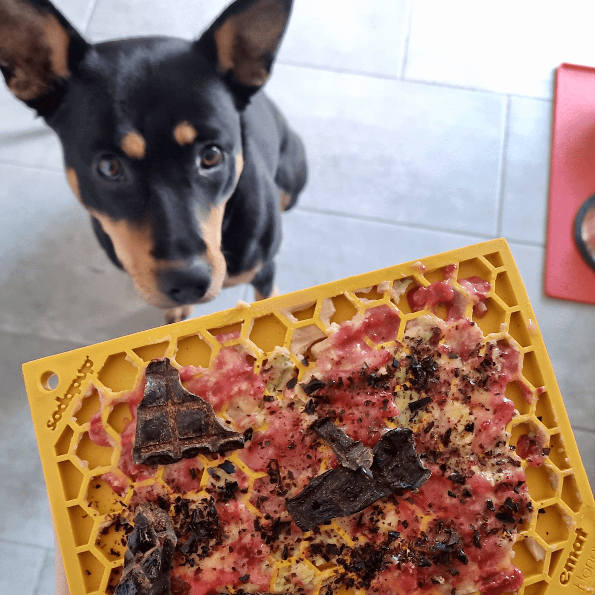 Honeycomb eMat Enrichment Lick Mat-Slow Feeder-Rover Pet Products