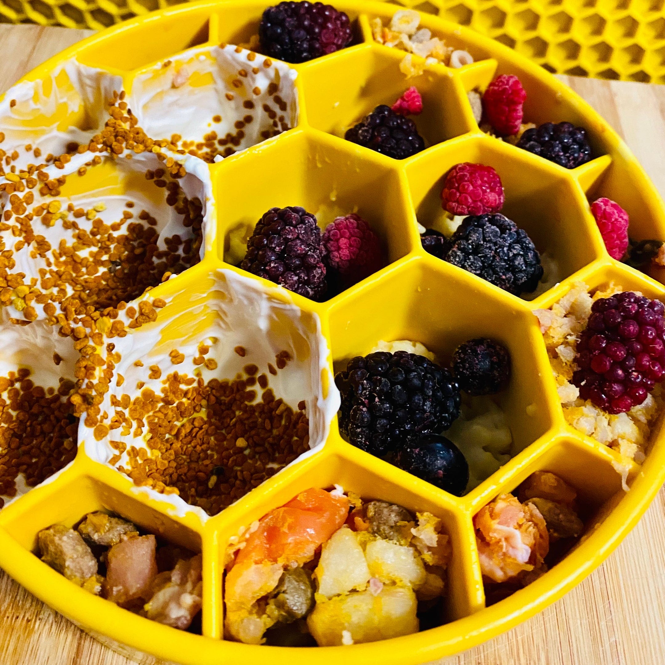 Honeycomb eBowl-Slow Feeder-Rover Pet Products