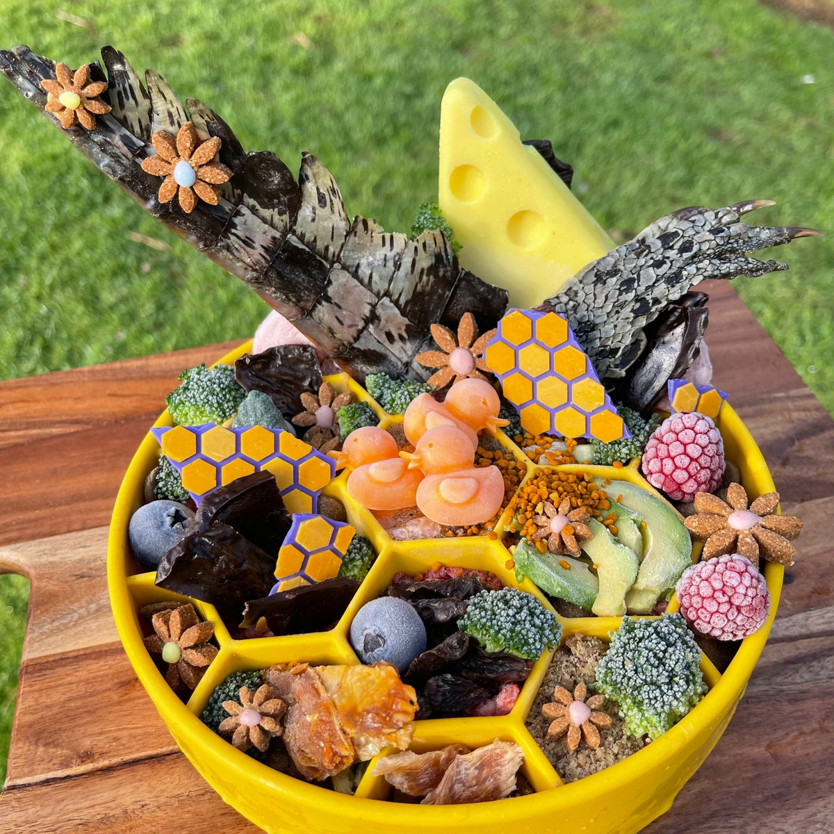 Honeycomb eBowl-Slow Feeder-Rover Pet Products