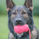 Skull Reward Toy-Dog Toy-Rover Pet Products