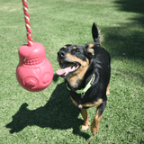 Skull Reward Toy-Dog Toy-Rover Pet Products