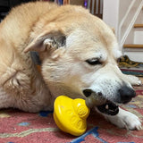 Skull Unstoppables-Dog Toy-Rover Pet Products