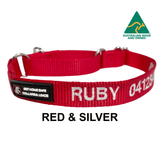 Slip on Martingale-Dog Collar-Rover Pet Products