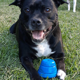 Space Capsule-Dog Toy-Rover Pet Products