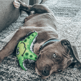 Stanley The Starfish-Rover Pet Products