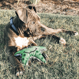 Stanley The Starfish-Rover Pet Products