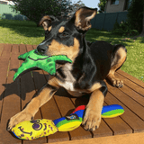 Stanley The Starfish-Rover Pet Products