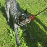 Stars & Stripes Ball Reward Toy-Dog Toy-Rover Pet Products