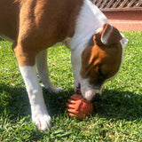 Stars & Stripes Ball-Dog Toy-Rover Pet Products