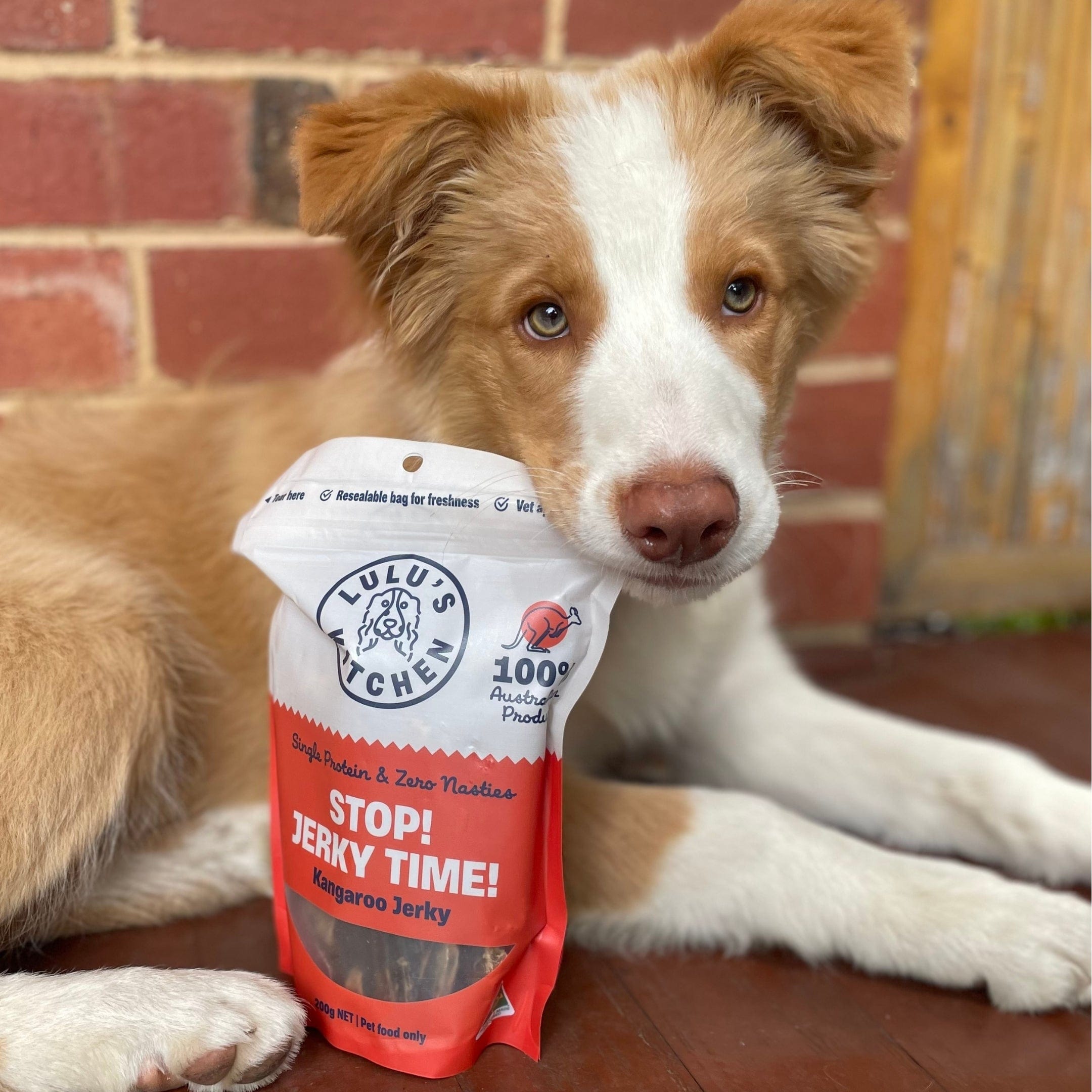 STOP! Jerky Time! - Kangaroo Jerky-Dog Treat-Rover Pet Products