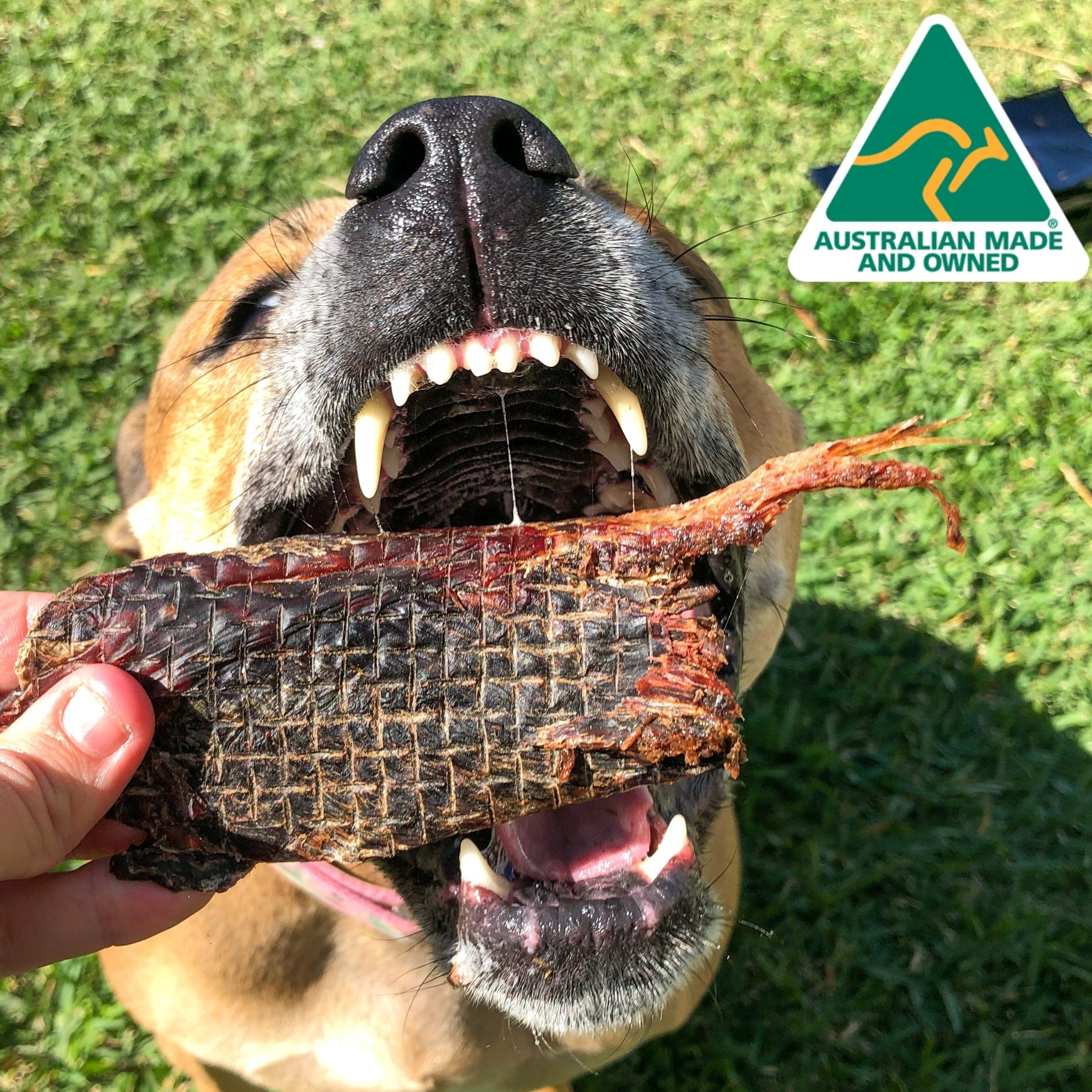 STOP! Jerky Time! - Kangaroo Jerky-Dog Treat-Rover Pet Products