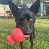 Sugar Skull-Dog Toy-Rover Pet Products