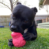 Sugar Skull-Dog Toy-Rover Pet Products