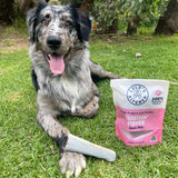 Sumthn' Fishee - Shark Skin-Dog Treat-Rover Pet Products