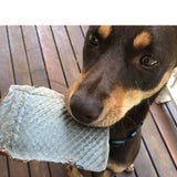 Sumthn' Fishee - Shark Skin-Dog Treat-Rover Pet Products