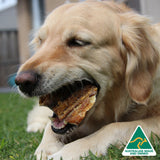 Sumthn' Fishee - Shark Skin-Dog Treat-Rover Pet Products