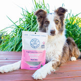 Sumthn' Fishee - Shark Skin-Dog Treat-Rover Pet Products