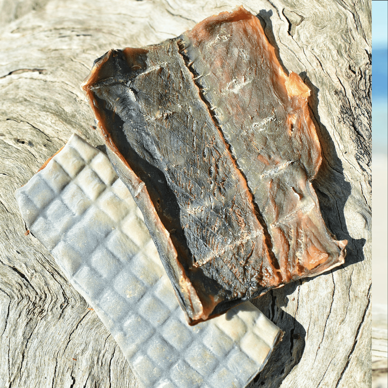 Sumthn' Fishee - Shark Skin-Dog Treat-Rover Pet Products