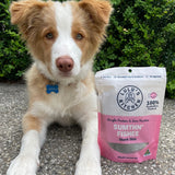 Sumthn' Fishee - Shark Skin-Dog Treat-Rover Pet Products