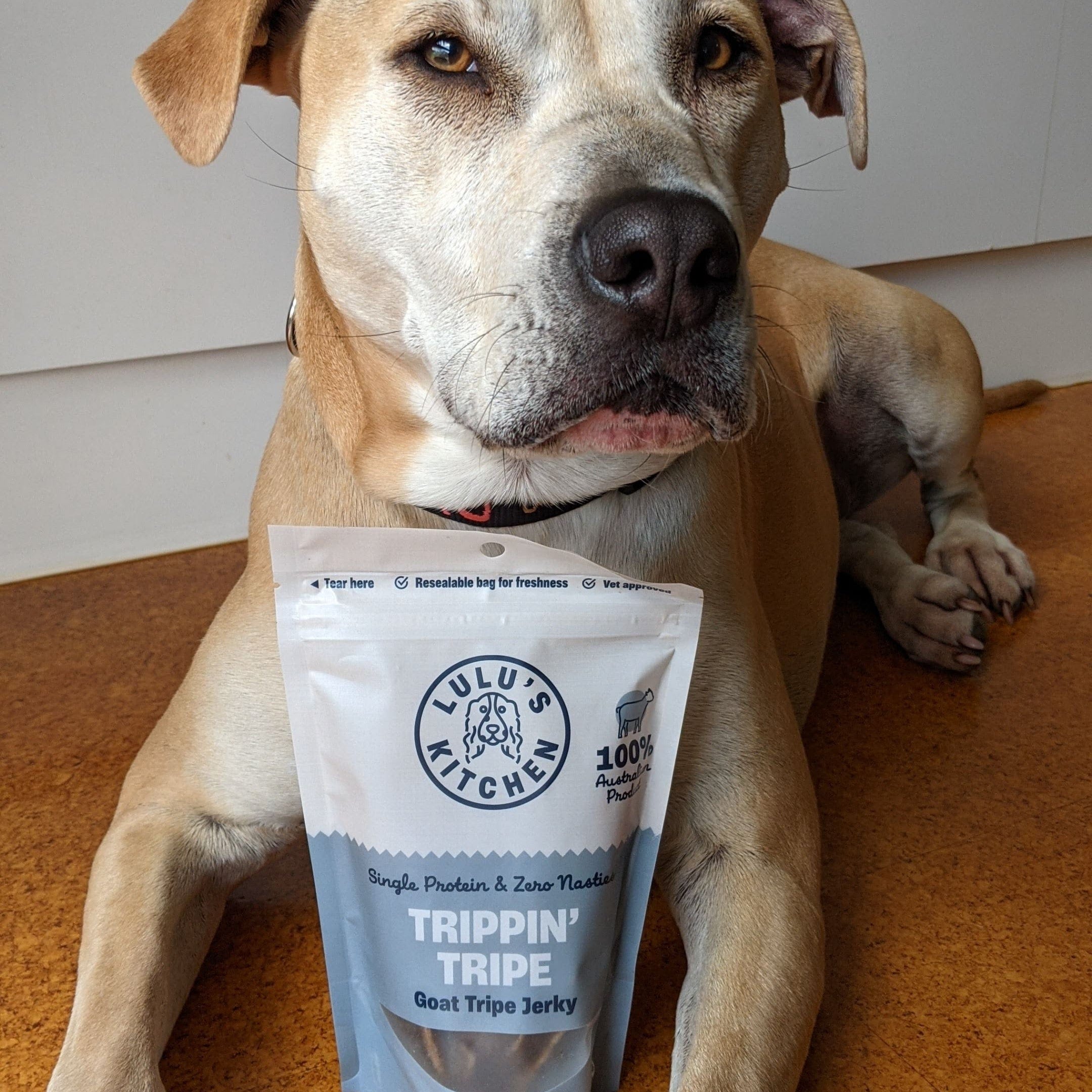 Trippn’ Tripe - Goat Tripe-Dog Treat-Rover Pet Products