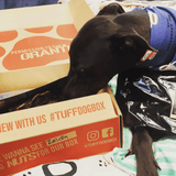 Tuff Dog Subscription-Rover Pet Products