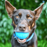 W-A-G Ball-Unclassified-Rover Pet Products