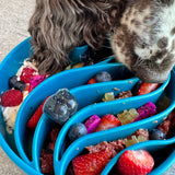 Wave eBowl Slow Feeder For Dogs-Slow Feeder-Rover Pet Products