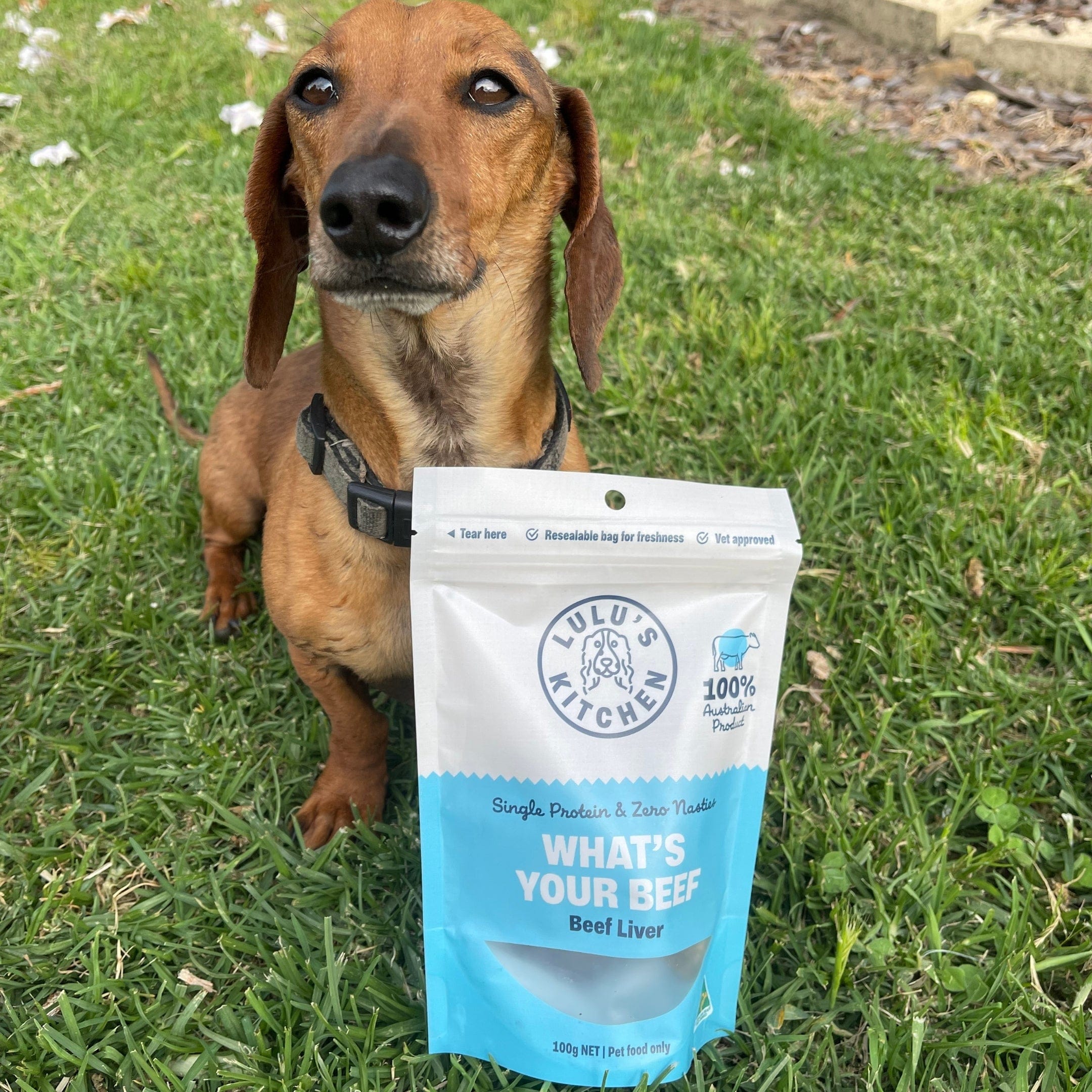 What's Your Beef? - Beef Liver-Dog Treat-Rover Pet Products