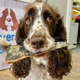 YOU CROC MY WORLD-Dog Treat-Rover Pet Products