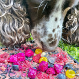 Zombie eMat Enrichment Lick Mat-Slow Feeder-Rover Pet Products