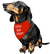 That Dog Shop