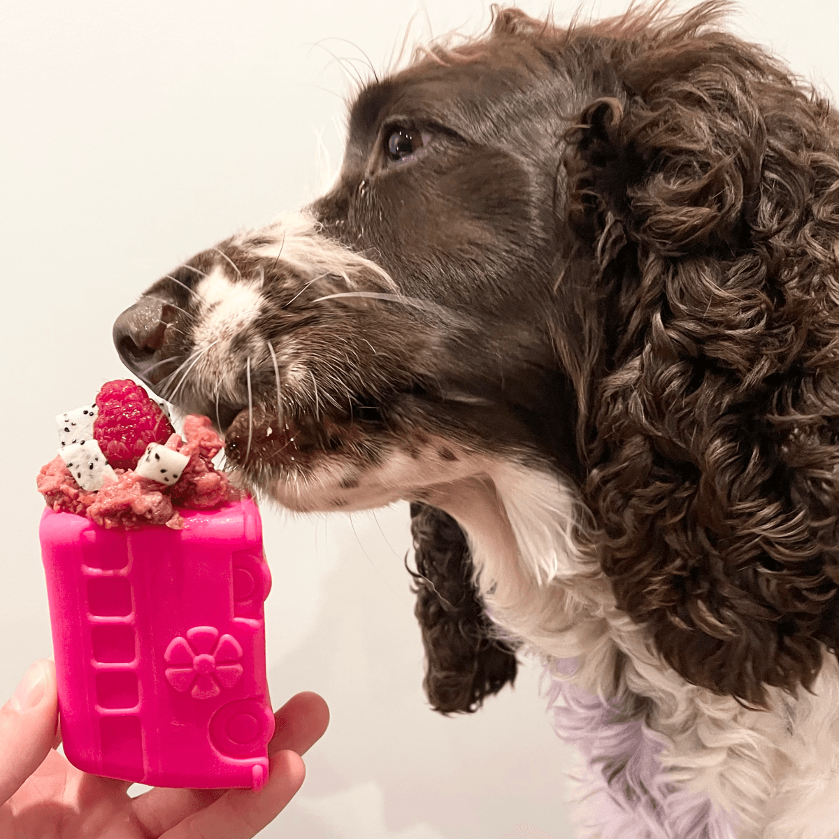 Enrichment - what is it and why!