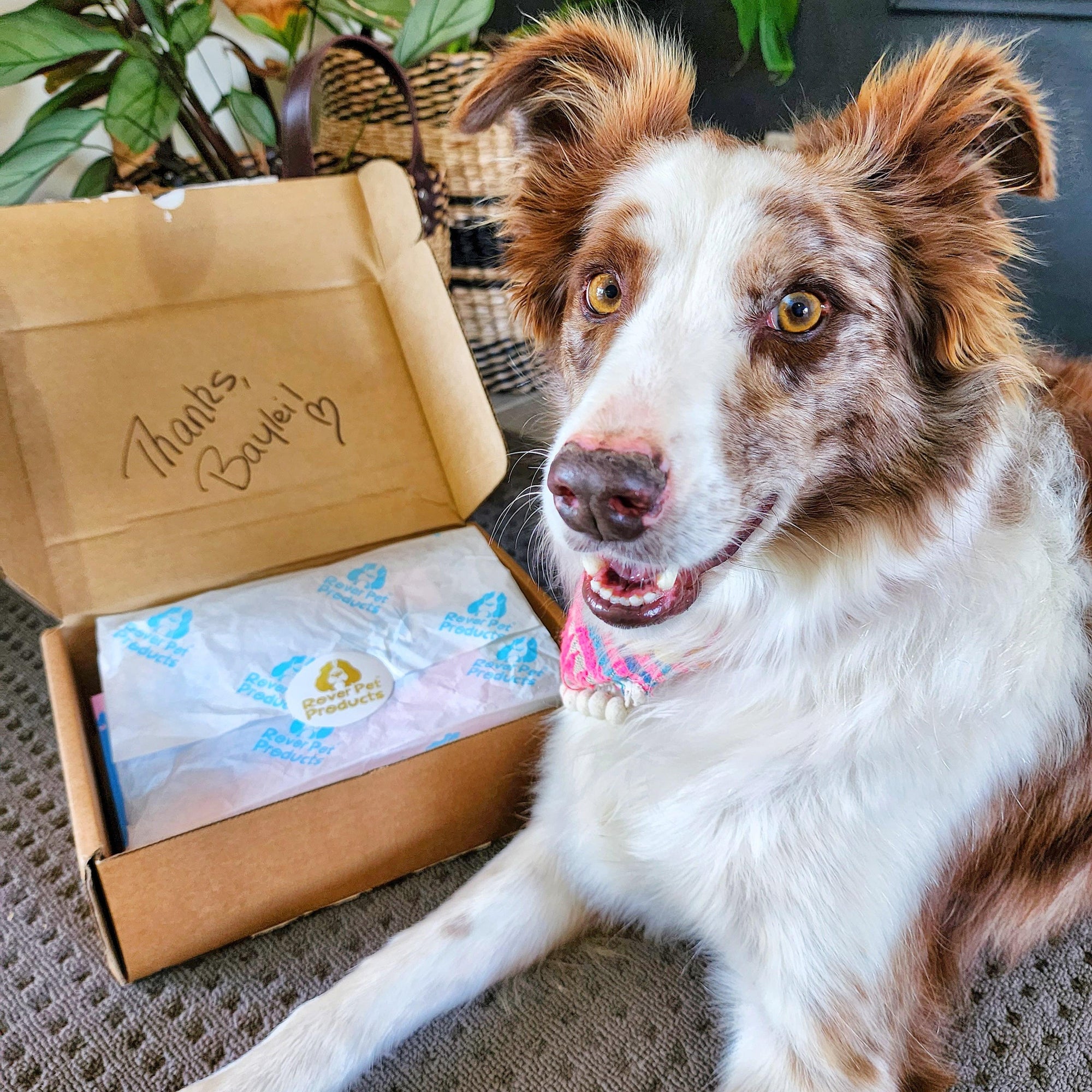 New Packaging Makes Us Woof!