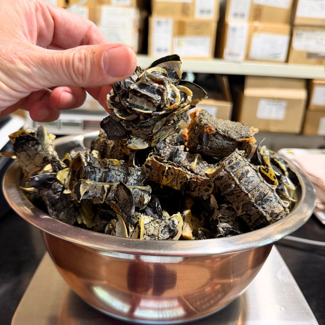 The Nutritional Revolution: Elevating Canine Health Through Novel Proteins