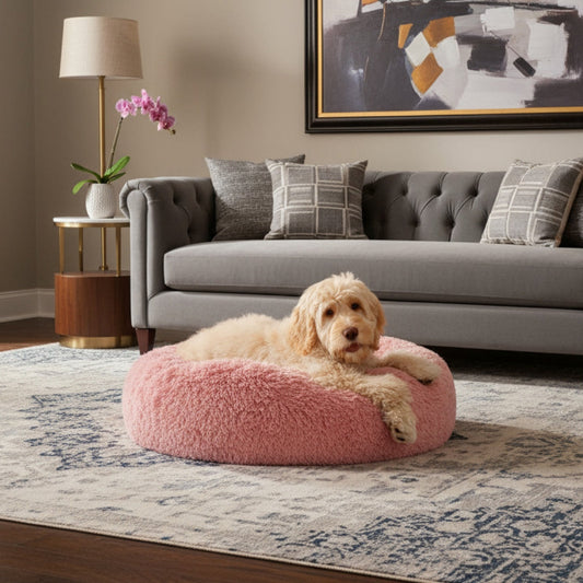 Dog Beds for Small Spaces: Making the Most of Nooks, Corners and Apartments