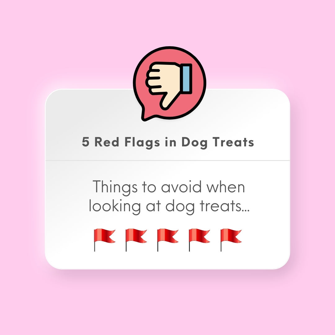 Red Flags In Dog Treats 🚩🚩🚩