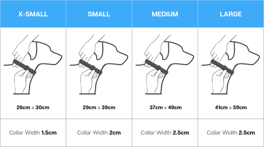 The Perfect Fit: A Guide to Measuring Your Dog for a New Collar