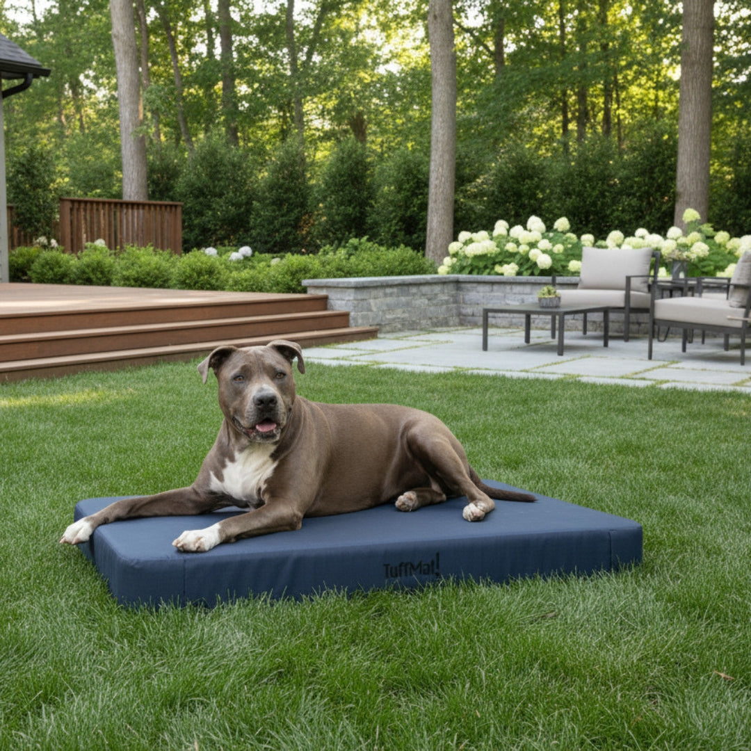 Custom Size Dog Beds for Kennels and Outdoor Areas