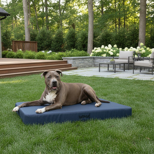 Custom Size Dog Beds for Kennels and Outdoor Areas