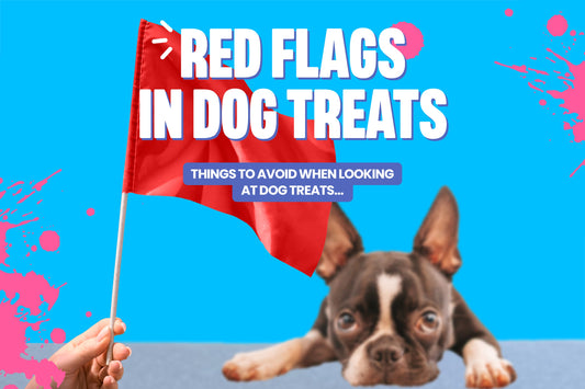 Red flags to look out for when buying dog treats