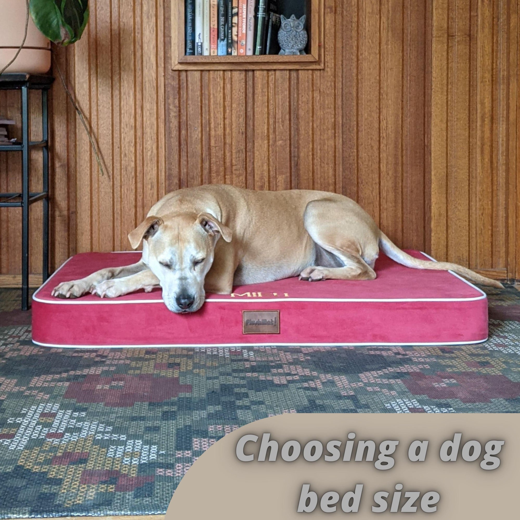 Choosing a dog bed size