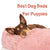 best dog bed for puppies - puppy lying on a pink bed